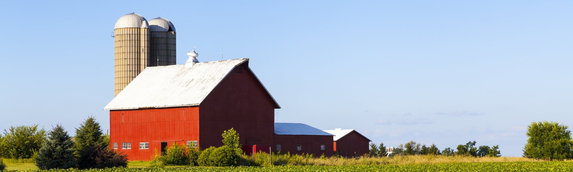 banner-farm